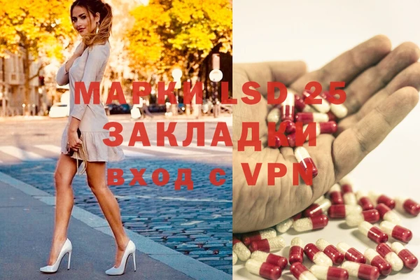 PSILOCYBIN Армянск