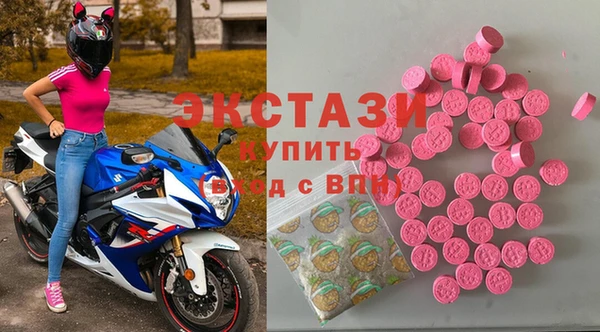 шишки Магас