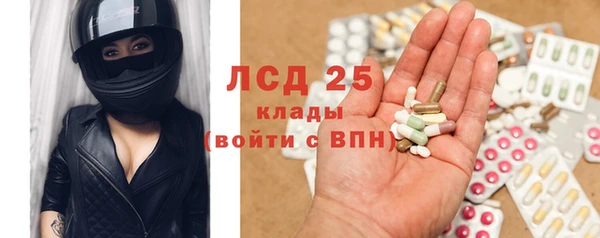 PSILOCYBIN Армянск