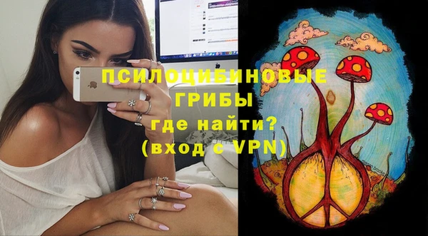PSILOCYBIN Армянск