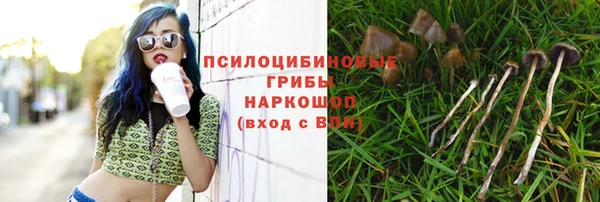 кокс Аркадак